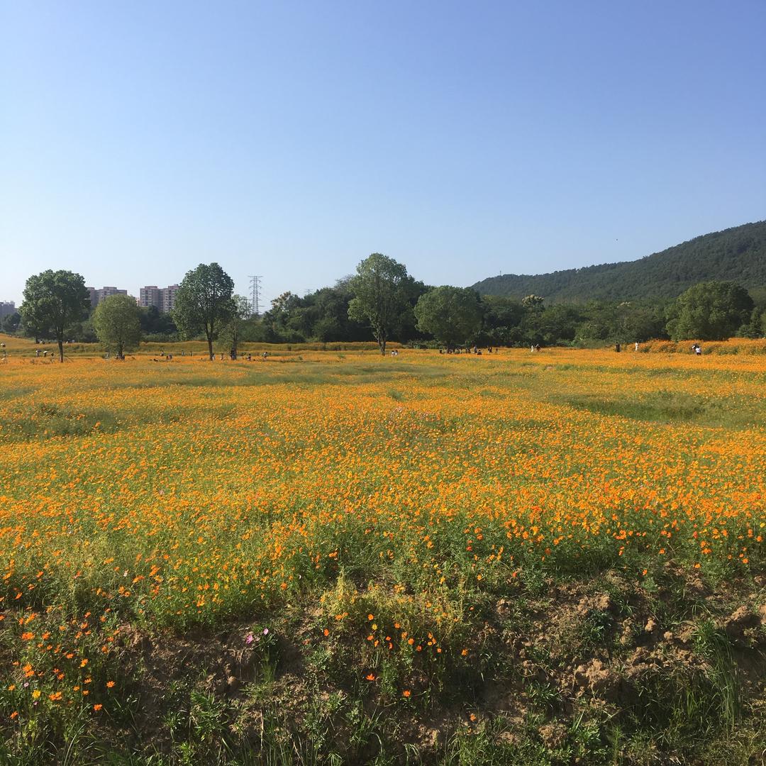 一起走过的日子520