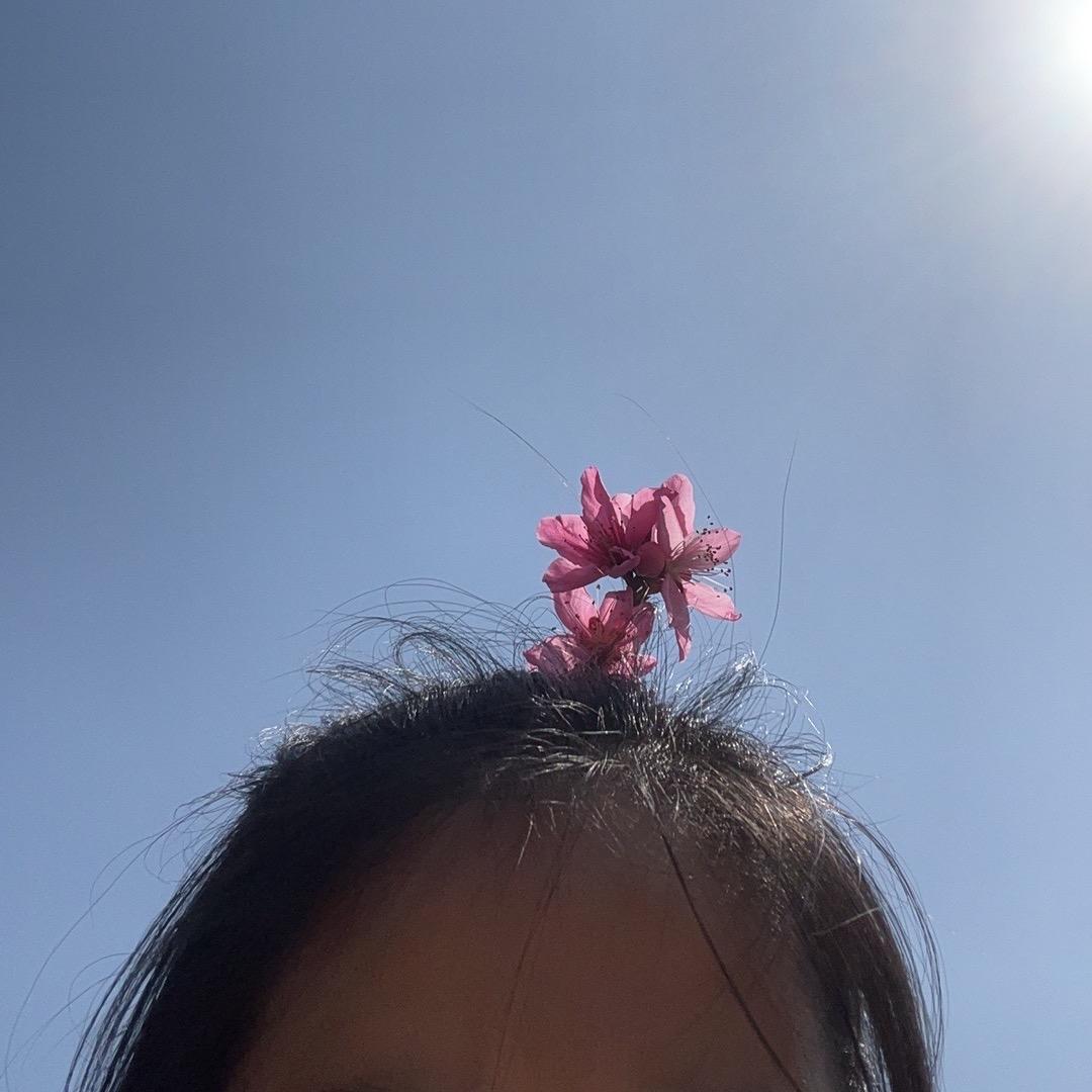 小二吖