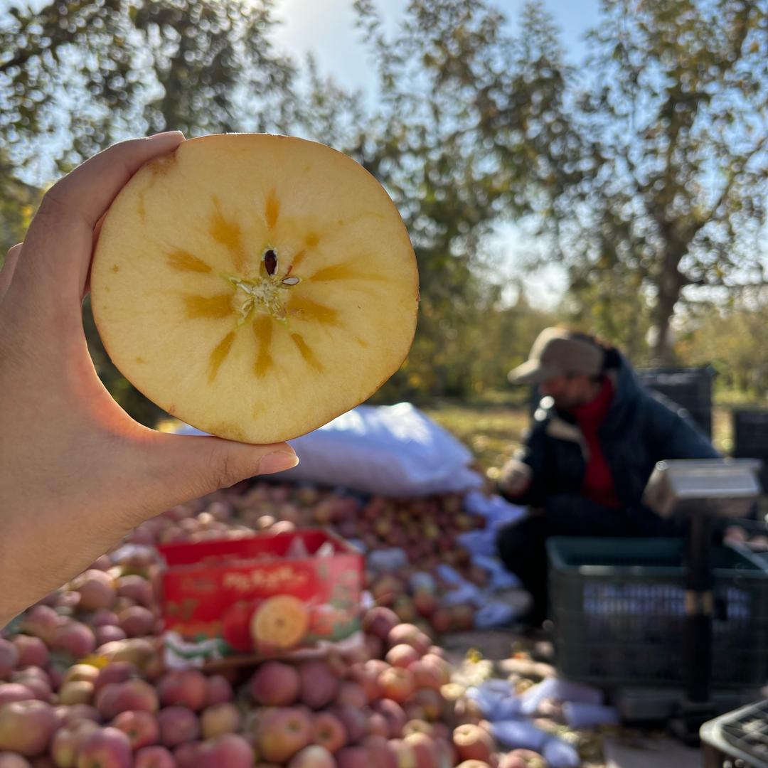 莉姐家的水果店