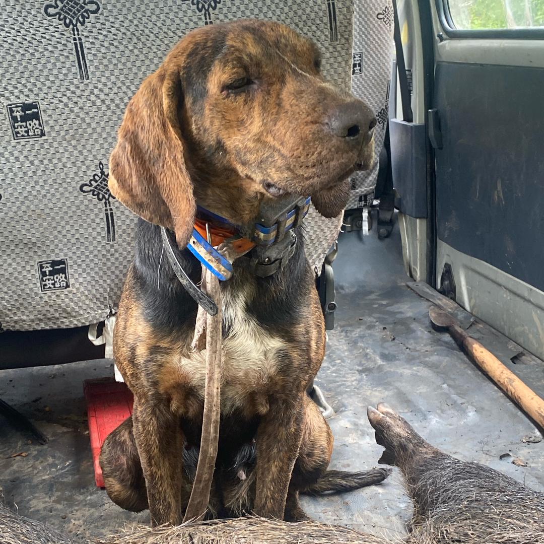 川蜀护农“木子李”