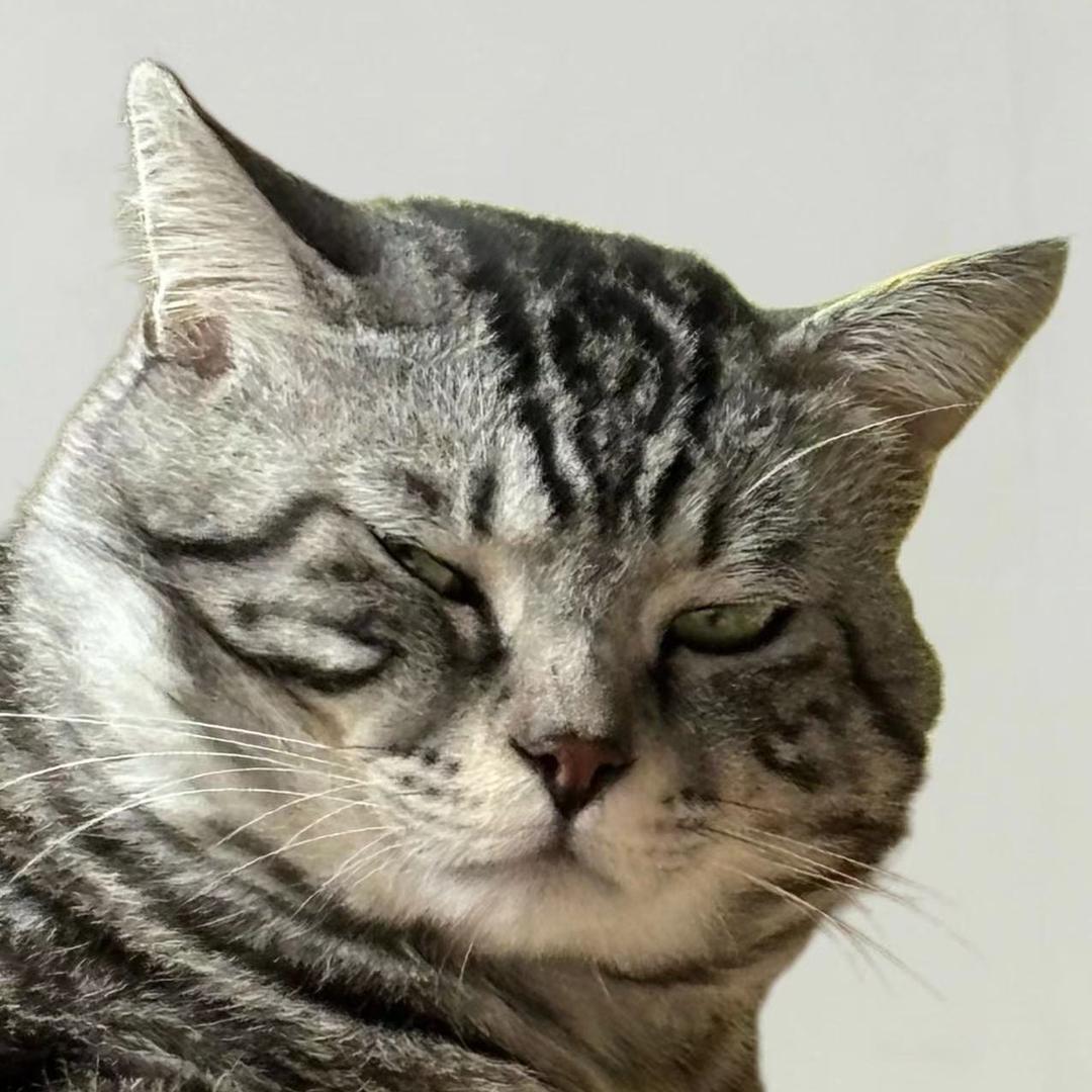 斌