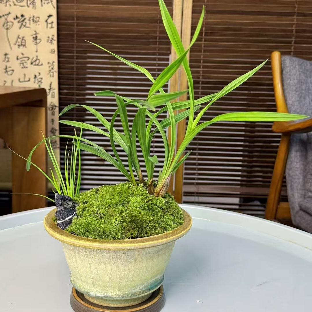 逸品兰庭