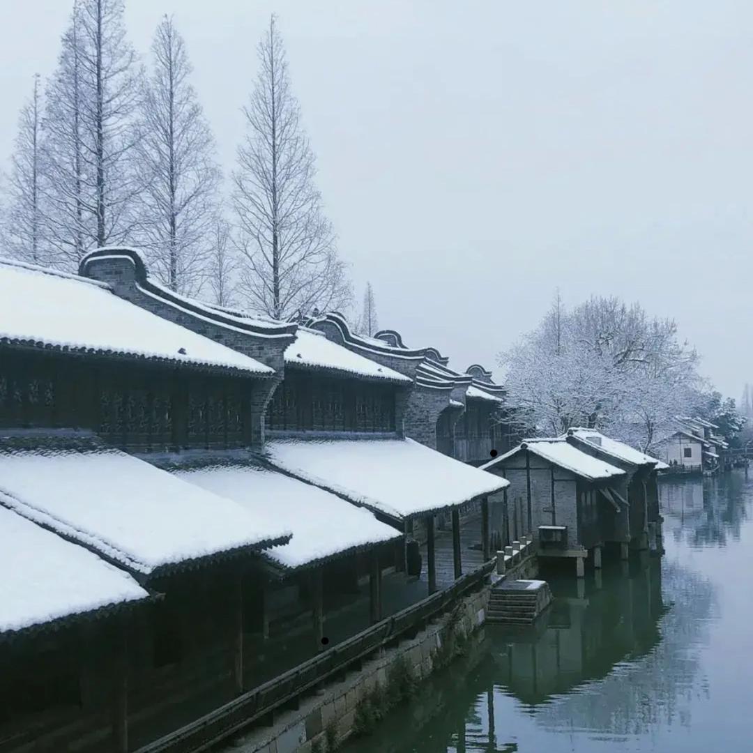 「恭贺」麻业