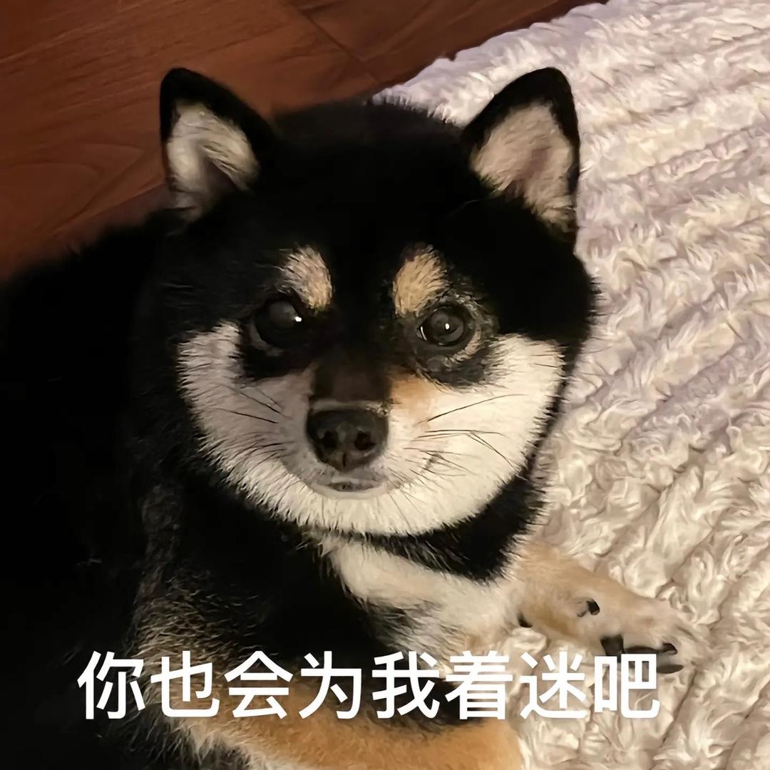 爱吃麻辣烫🍘