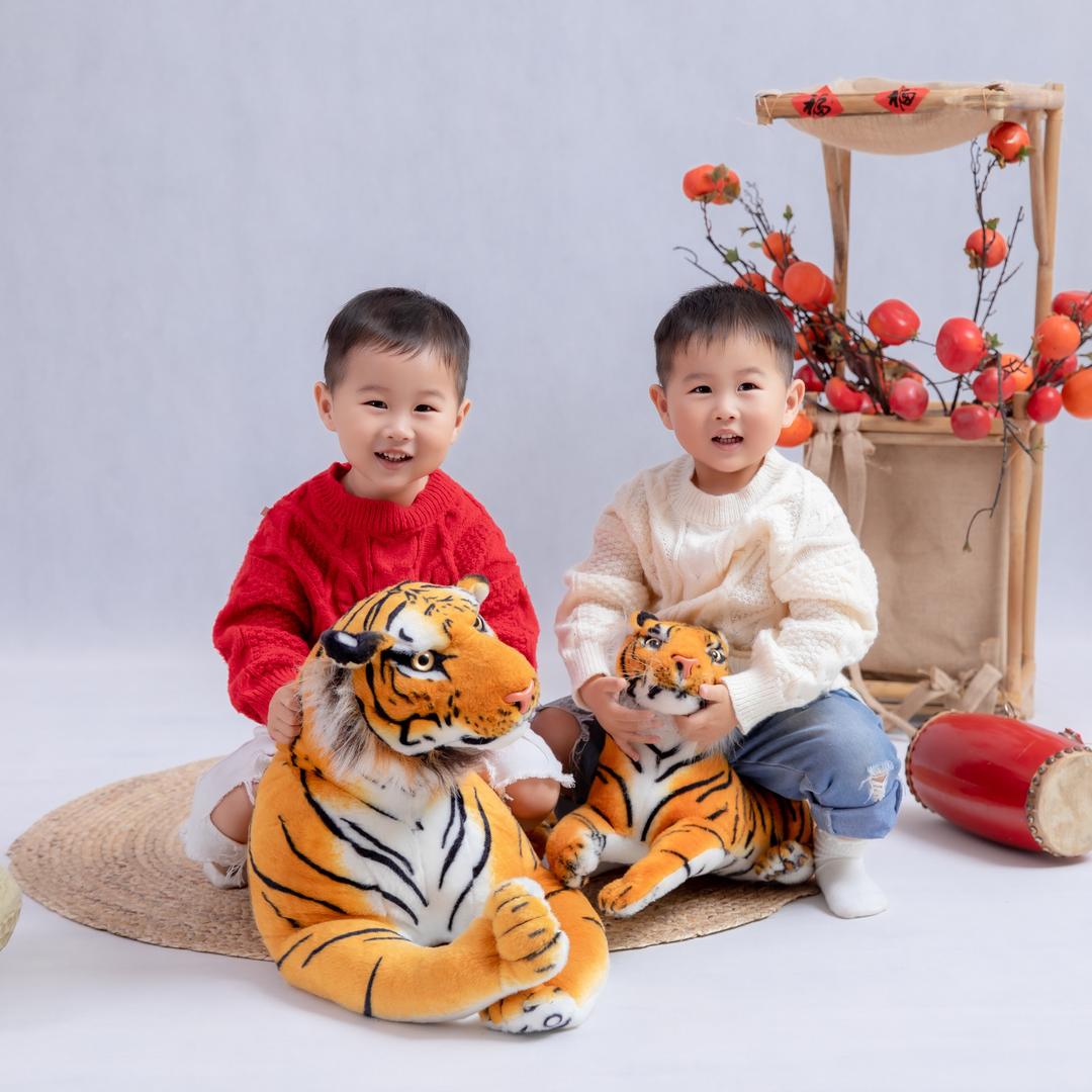 恩宝泽宝双胞胎