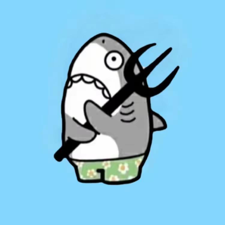 鲨叉哟scy