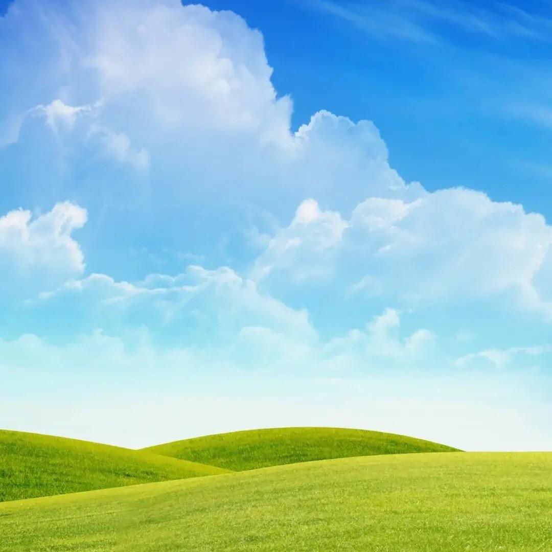 猴哥爱音乐🎹🎤