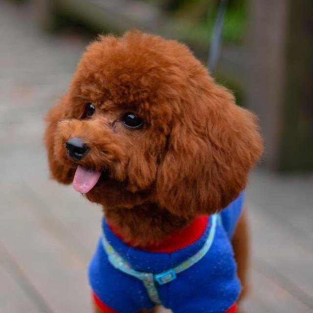 @秋秋