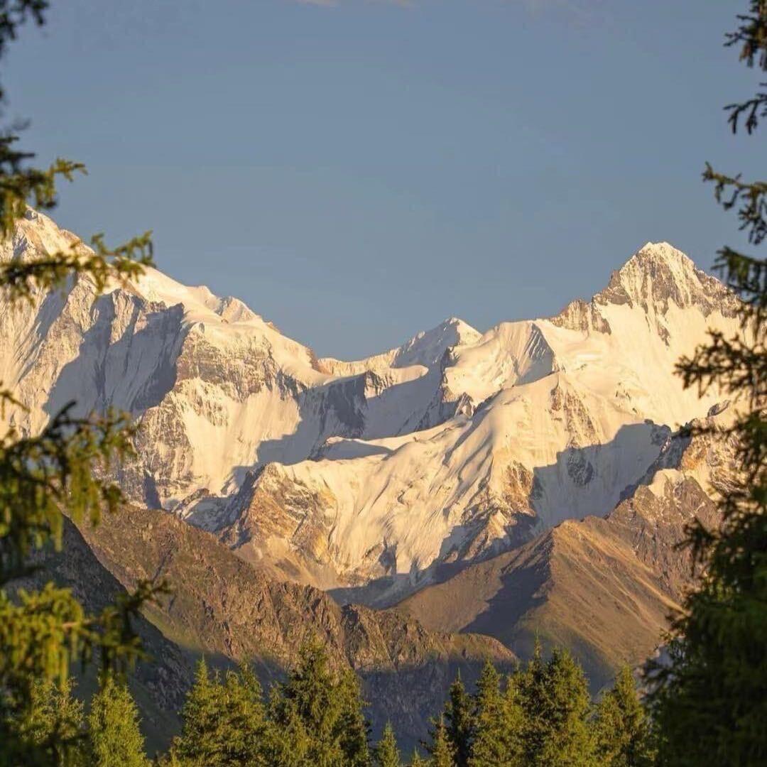 郑老头（短视频）