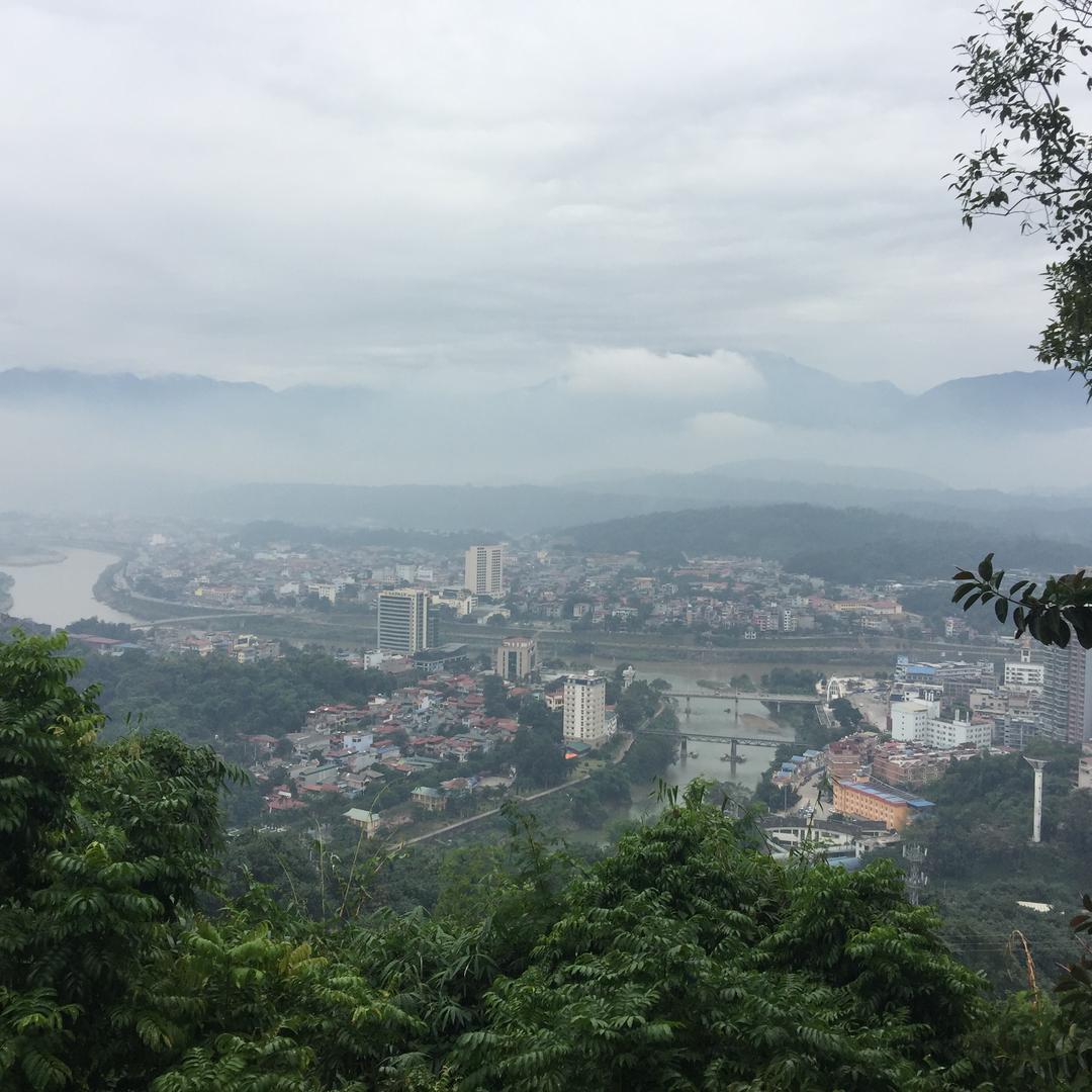 🚶🏻‍♂️🐴👀🌸