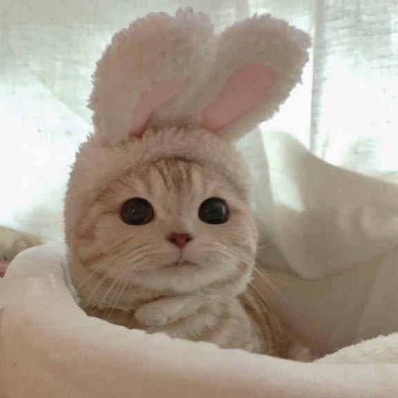 唐山路北卖酸奶的小妮