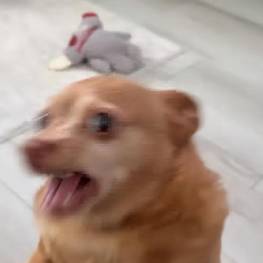 小編