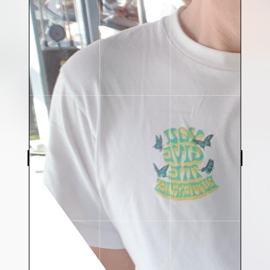 綺麗