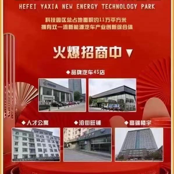 安徽路易达投资咨询服务有限公司