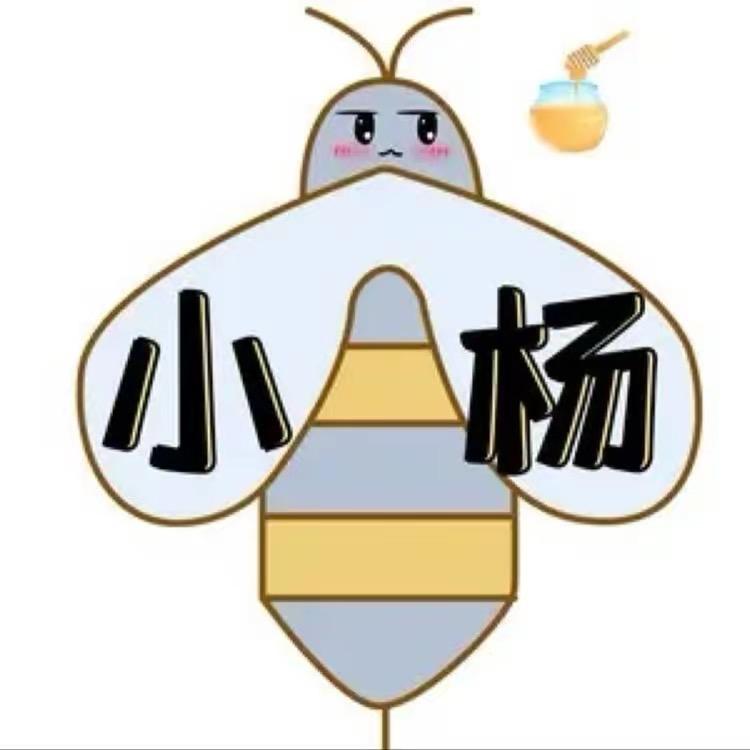 小杨的野外生活