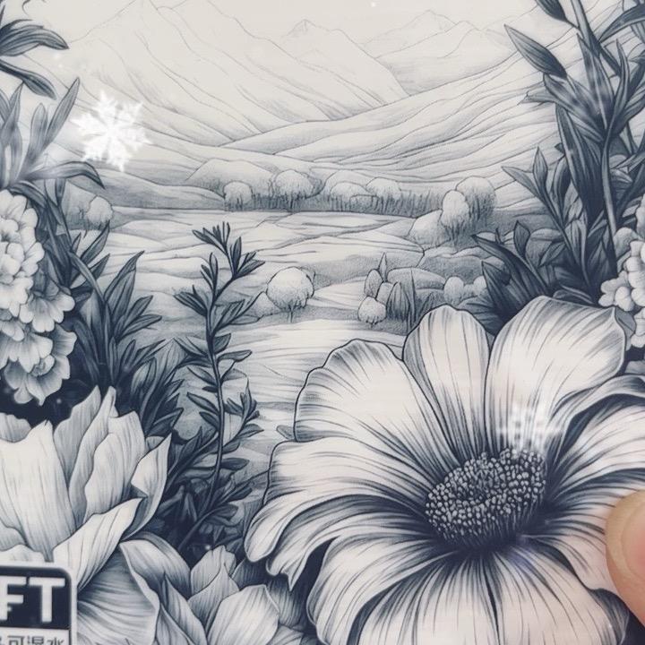 飞鹰🦅优选