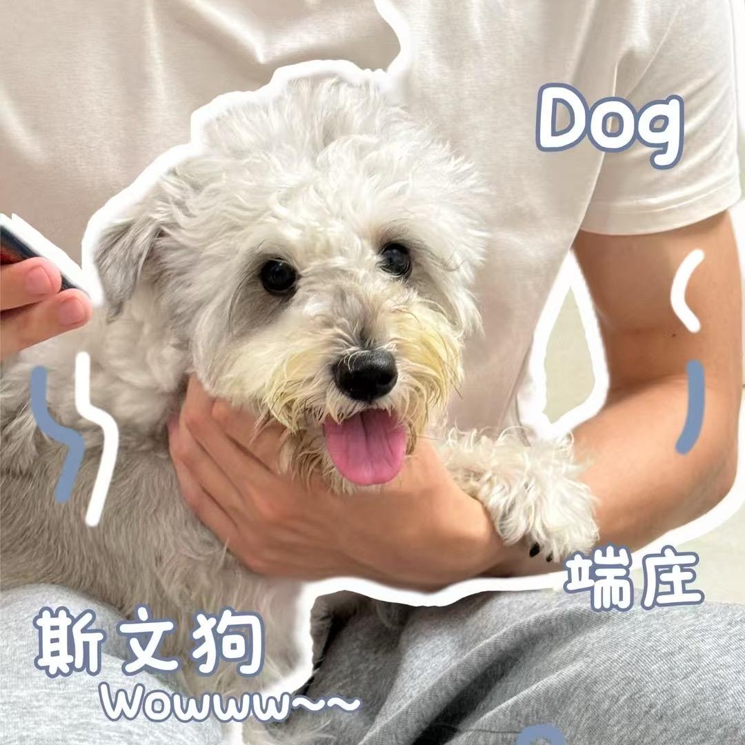 明崽的幸福生活