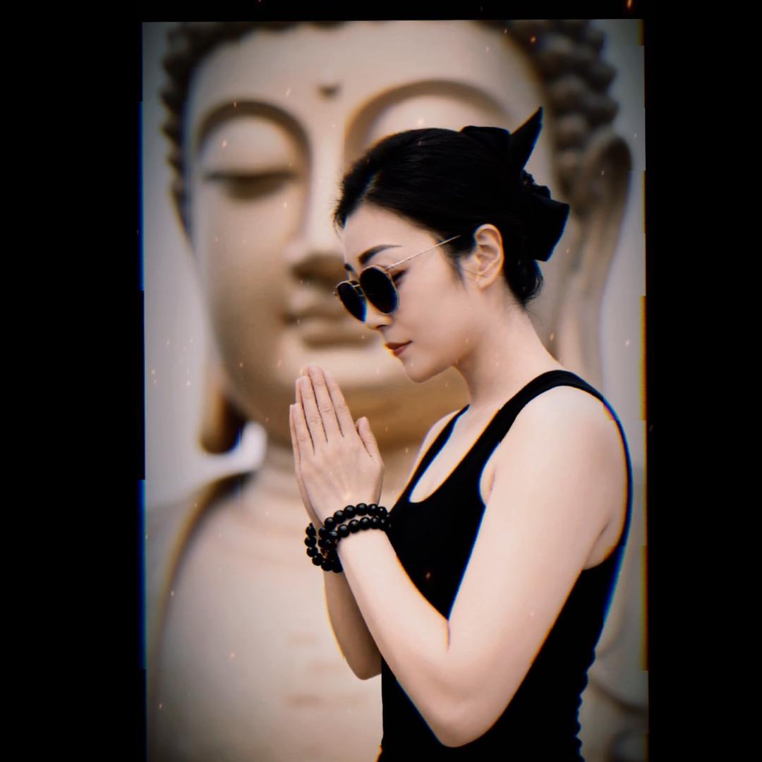 菲宝(好物分享)