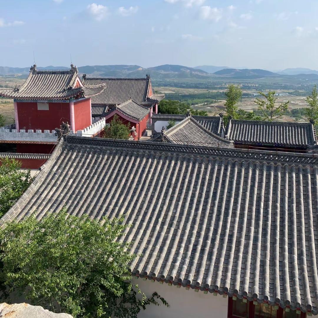 随心师叔