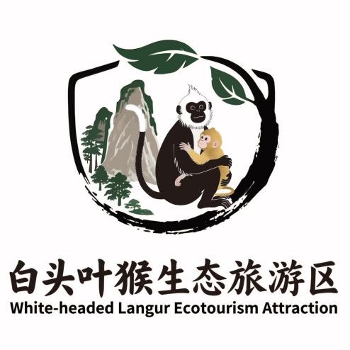 崇左千古花山白头叶猴景区