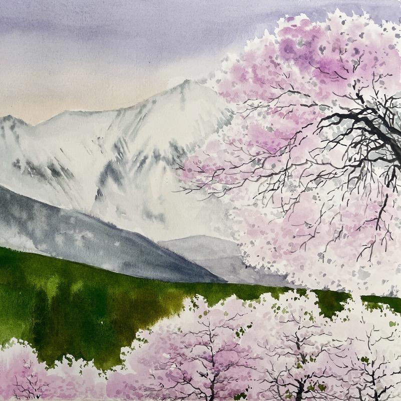 小马老师绘画🎨