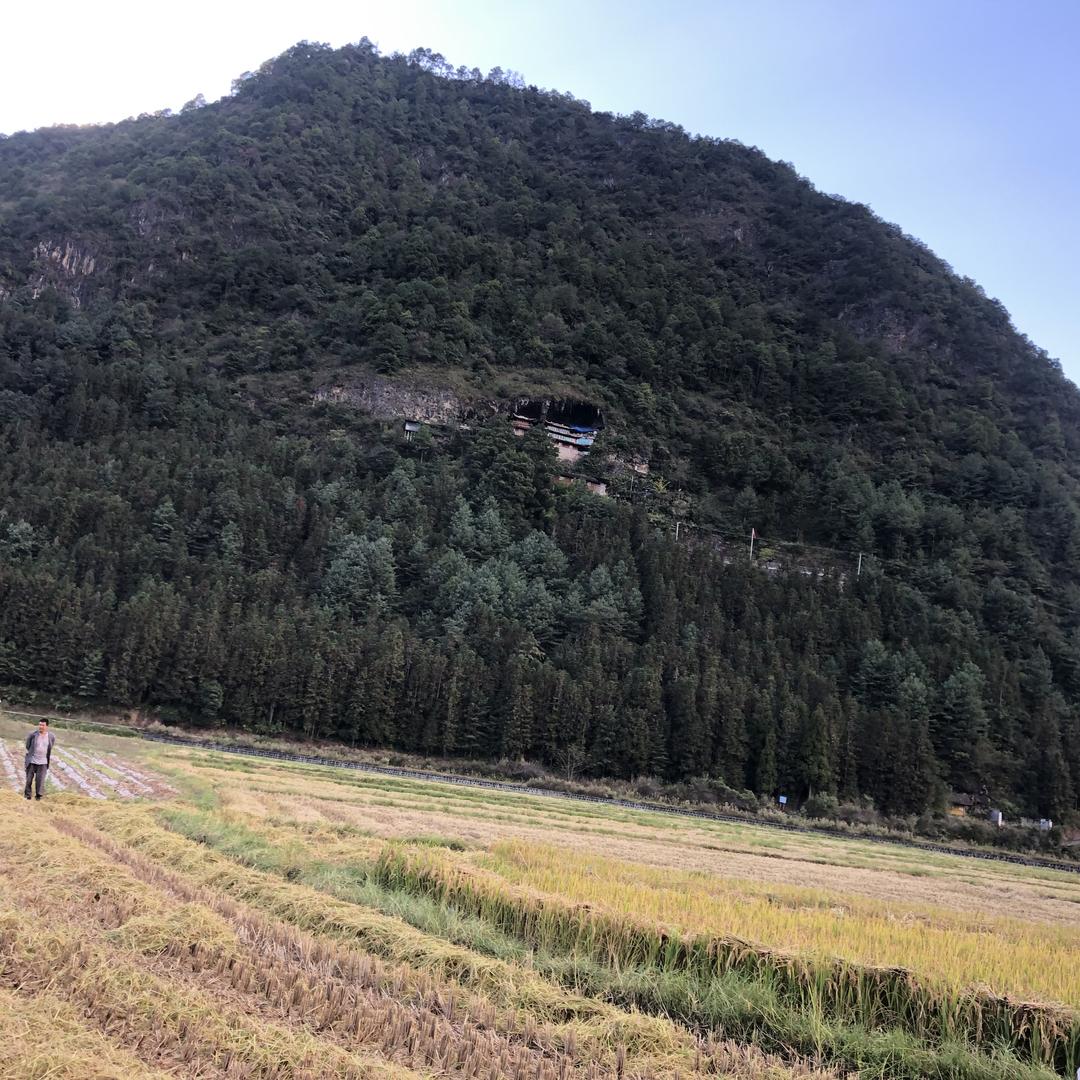 万家和土特产