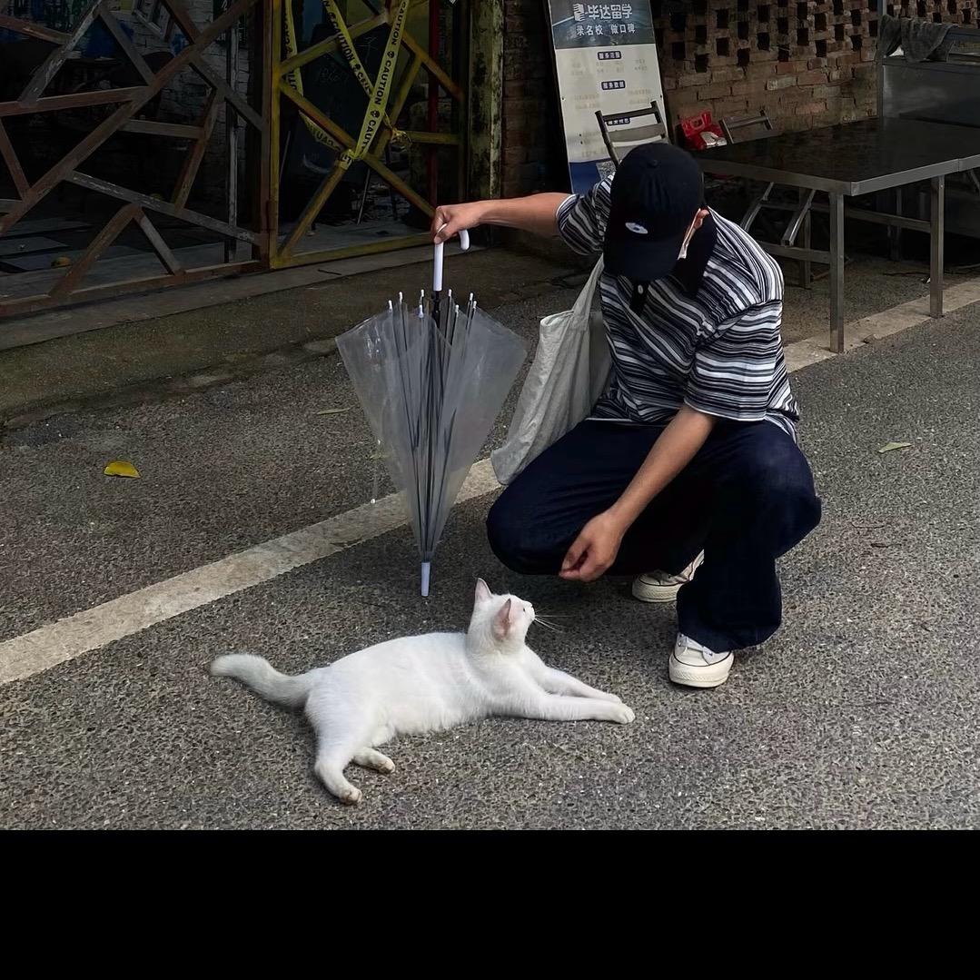 季度