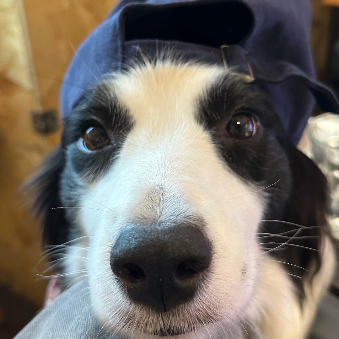 超人真的不会飞