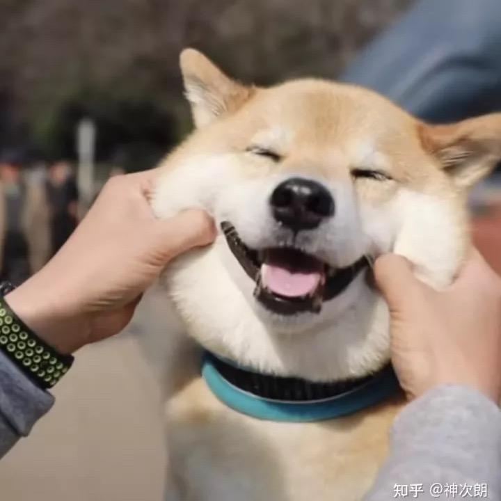 纸上苍生18
