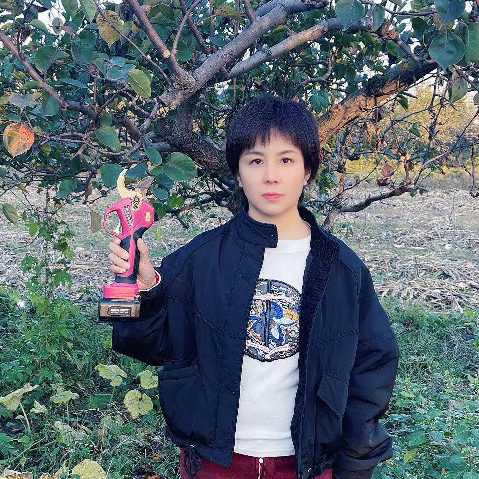 叶子园林工具-锂电剪打药机