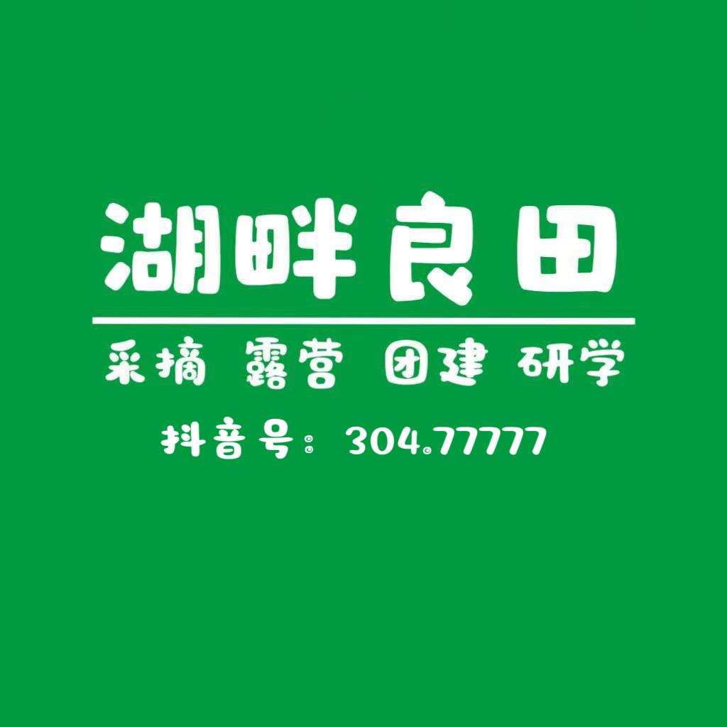 湖畔良田