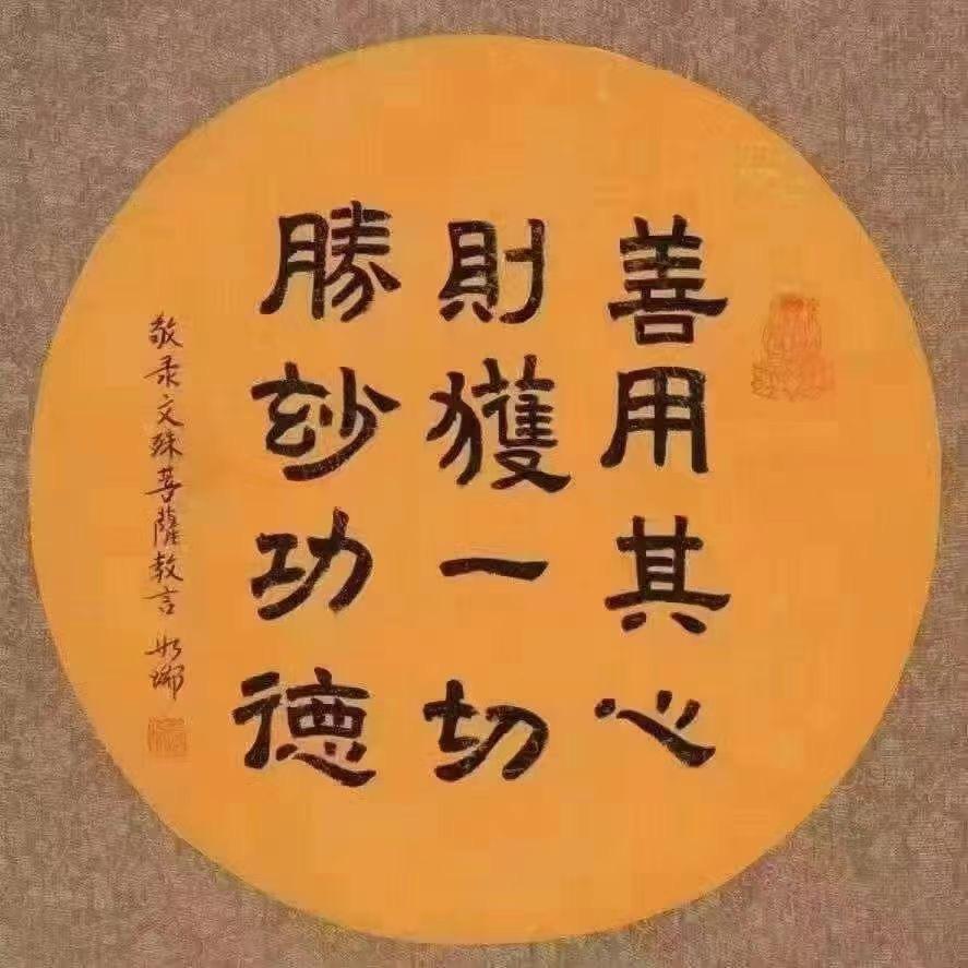 猫老板_