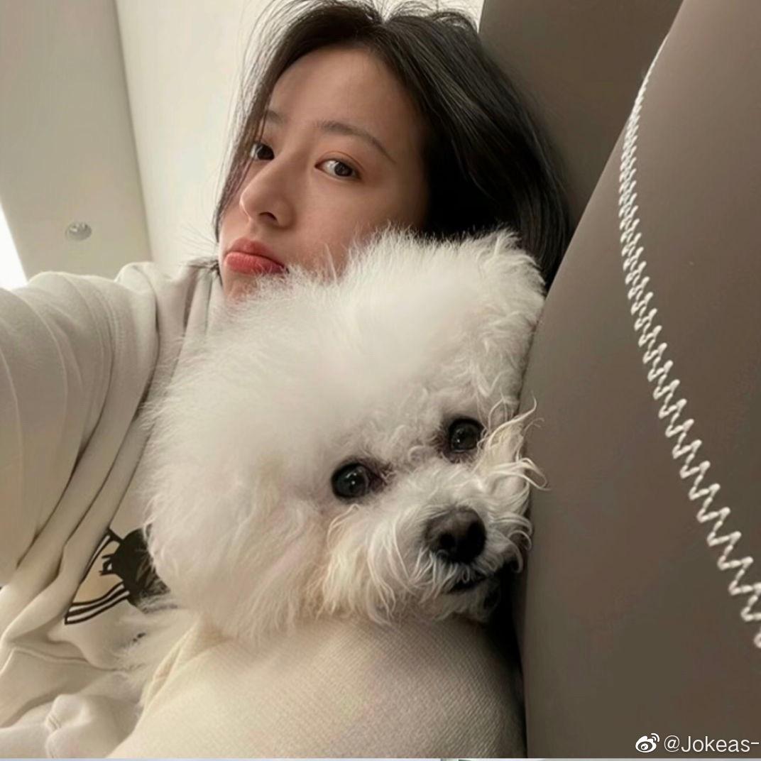 鹿邑美食推荐官