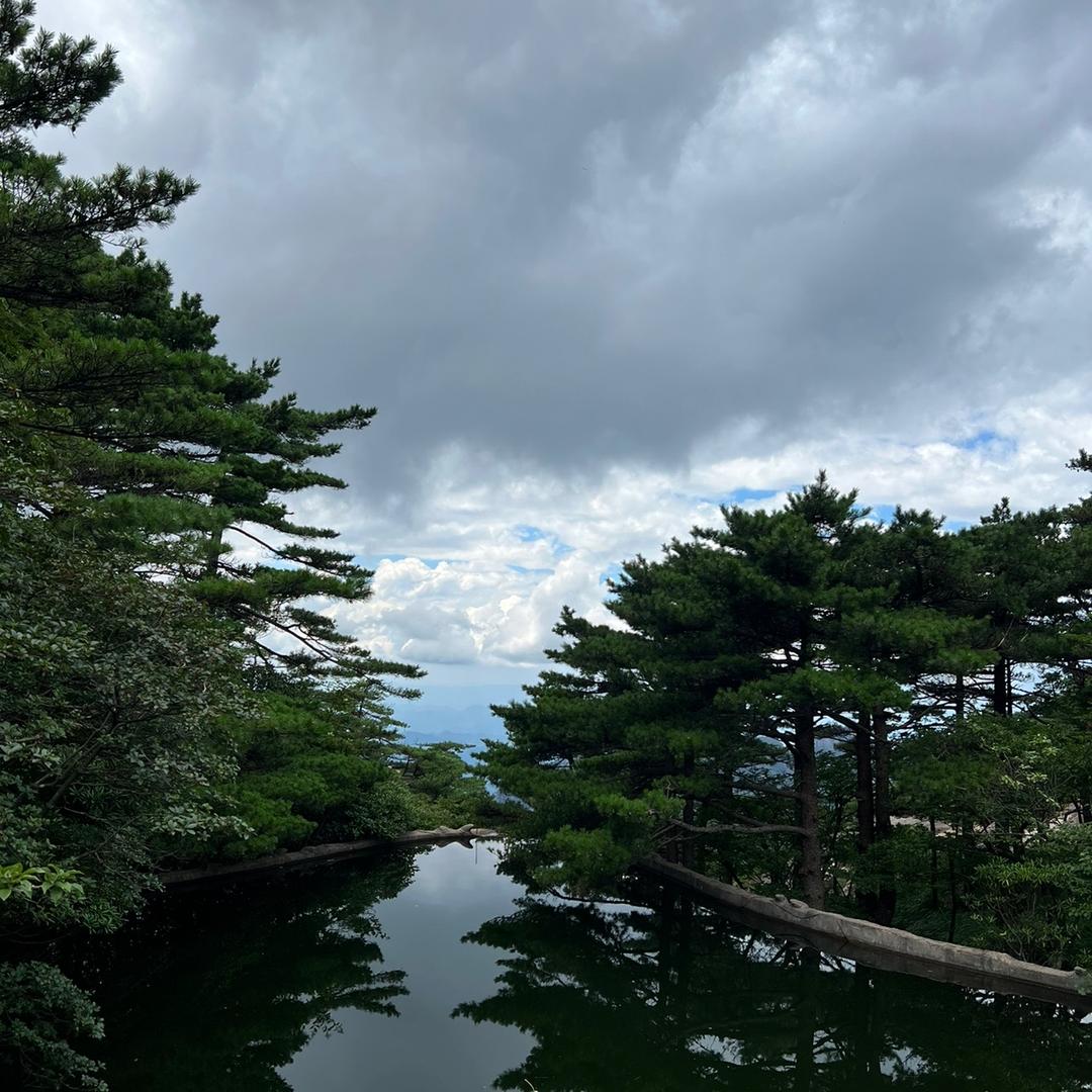 🌲搞定