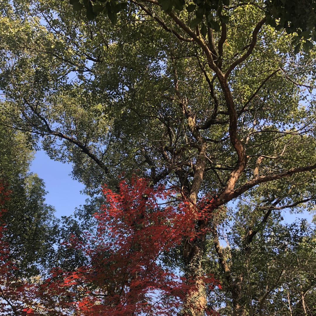 26141884588