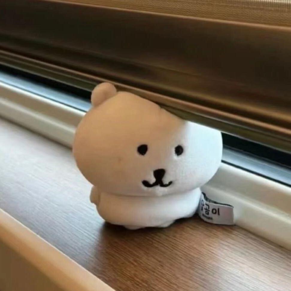 小z呀