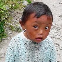 好心好意的骗你