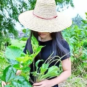 花草牧歌（教养花）
