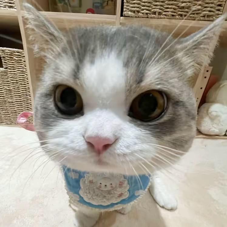 小7^
