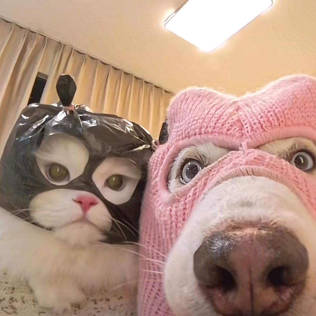 嘉嘉公主屋JCBABY高端童装女装