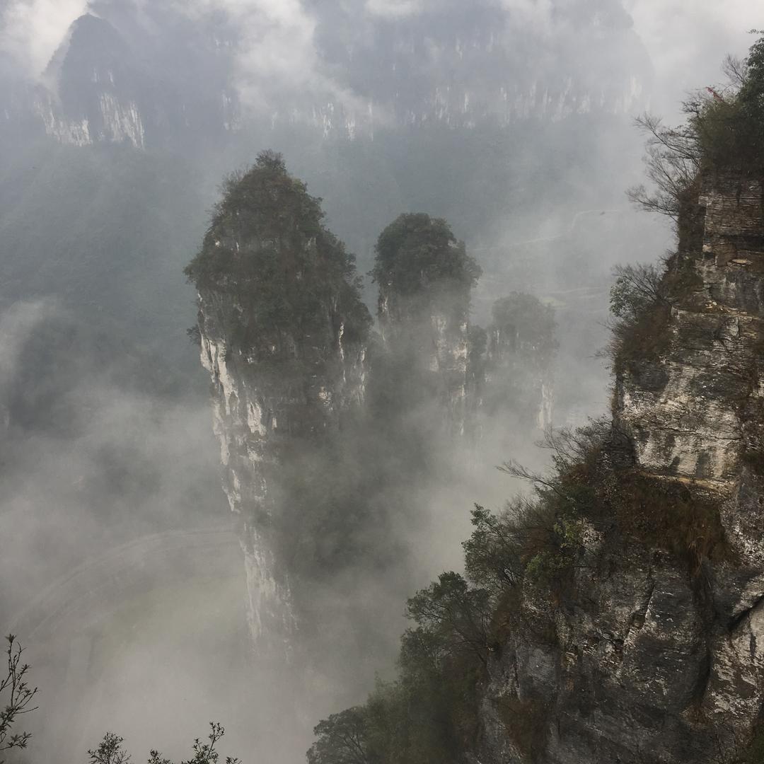 俐侬