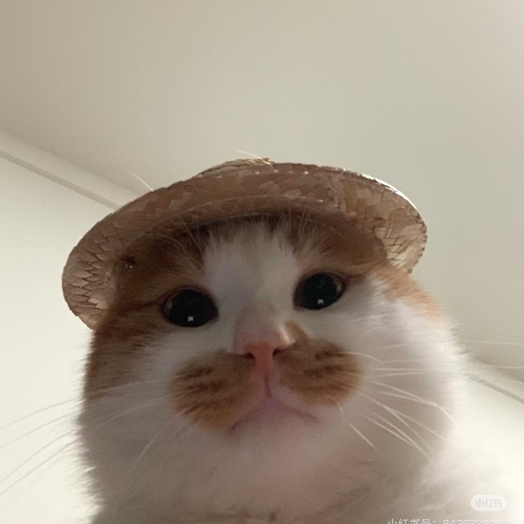 Kkm