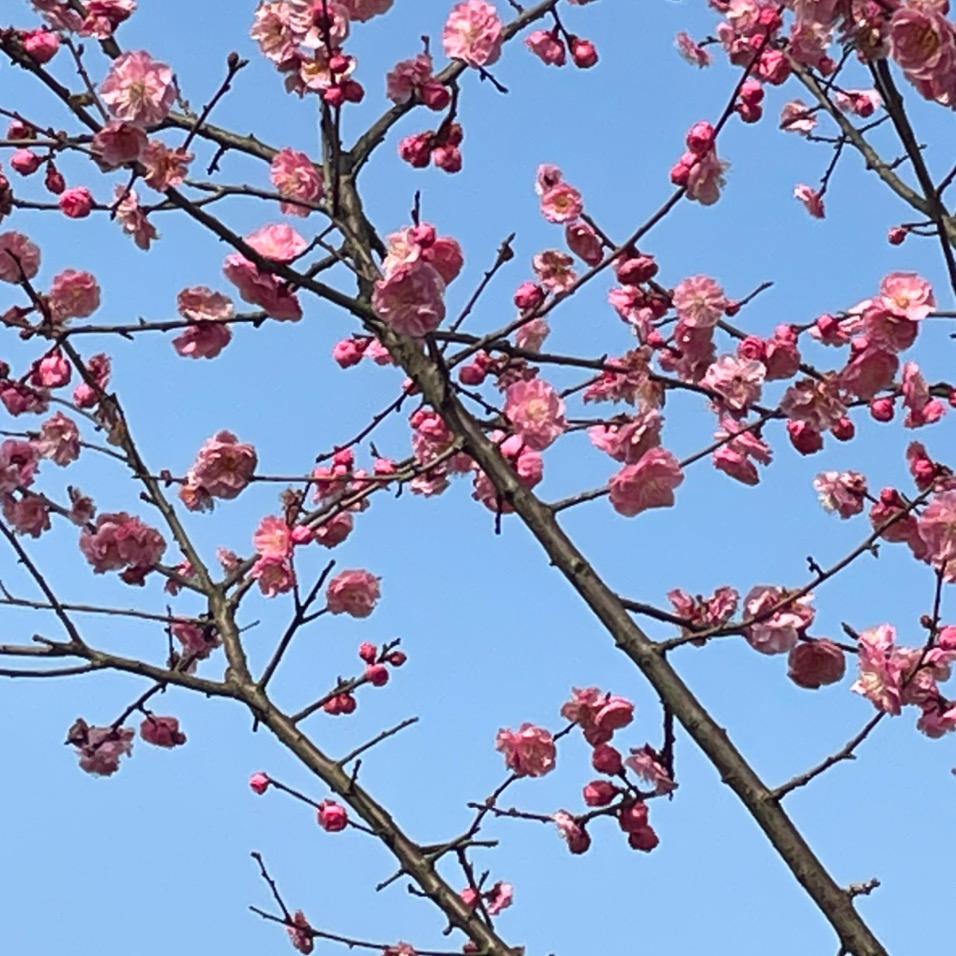 清容