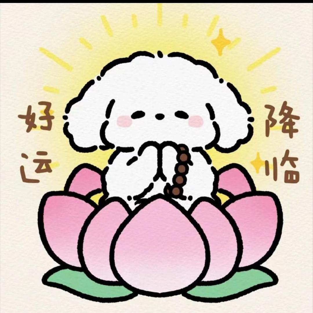张困困不想困