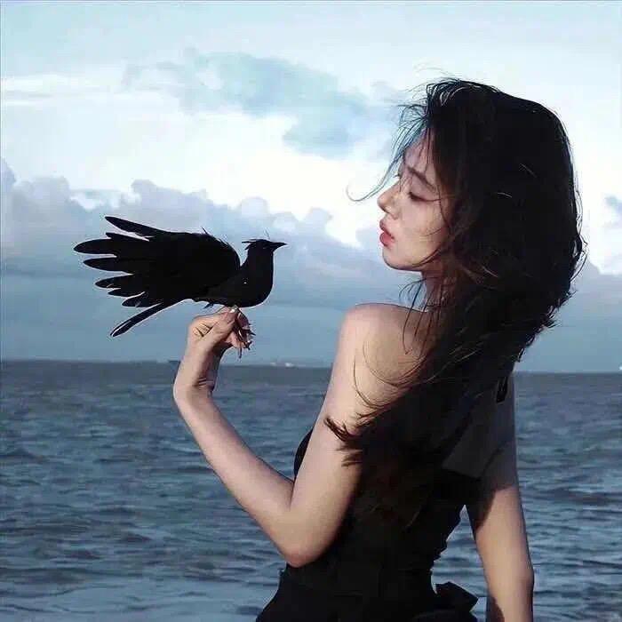辣条萌主