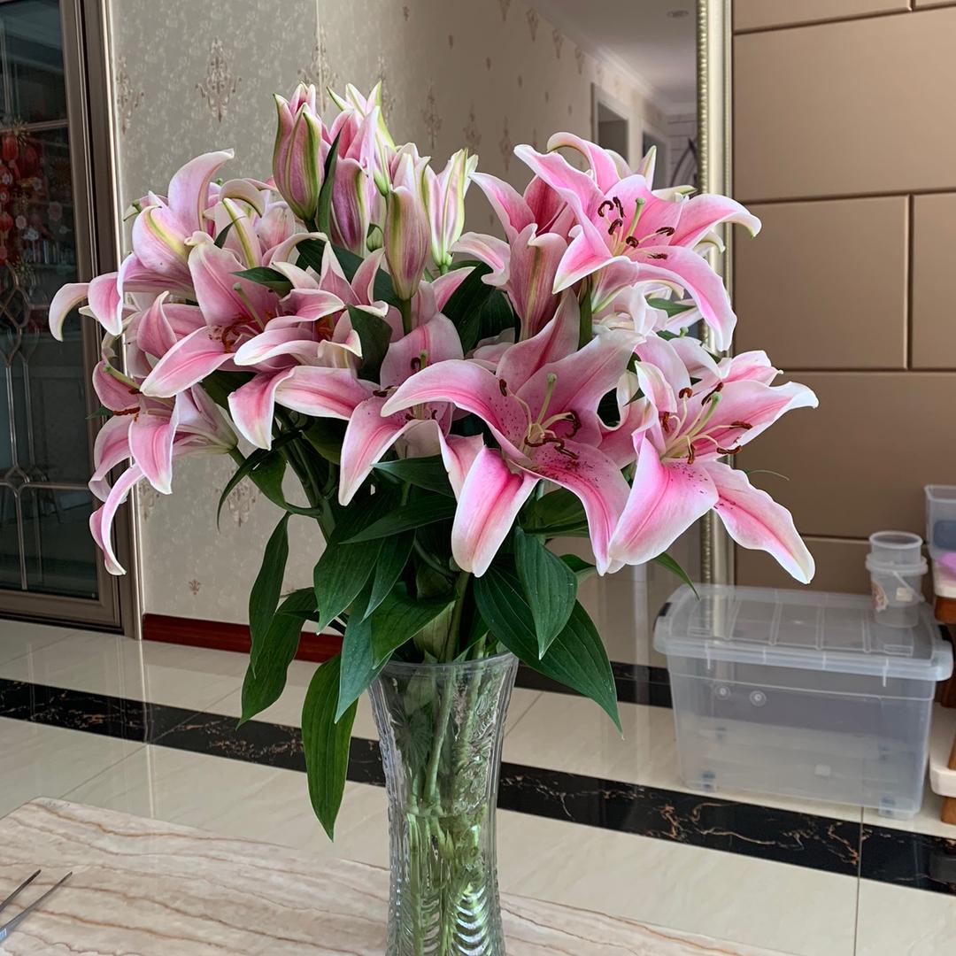 春暖花开💐💐