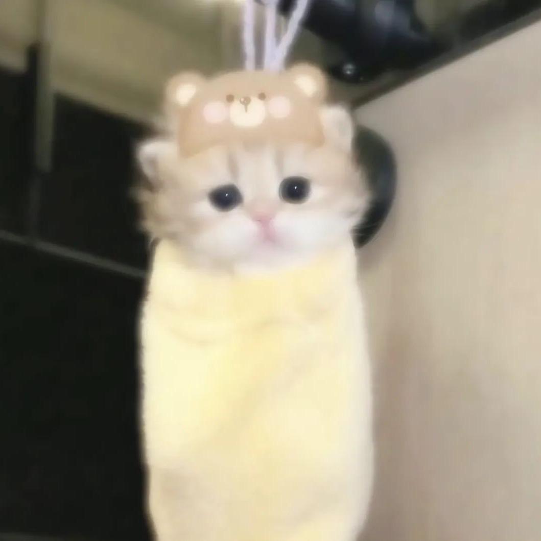 小公举