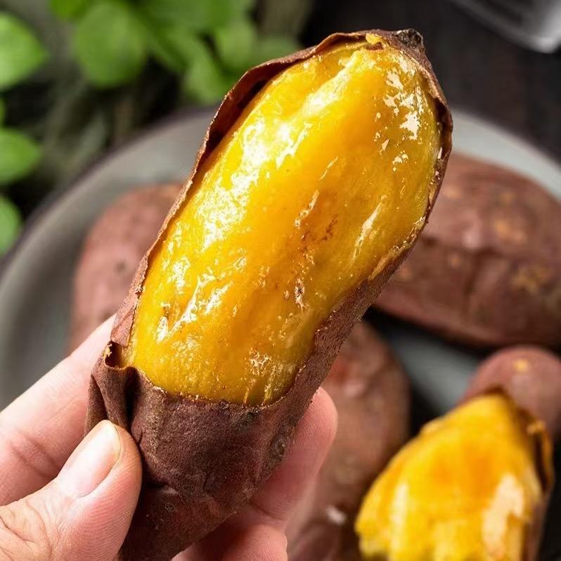 薯中贵族👑-太行蜜薯🍠