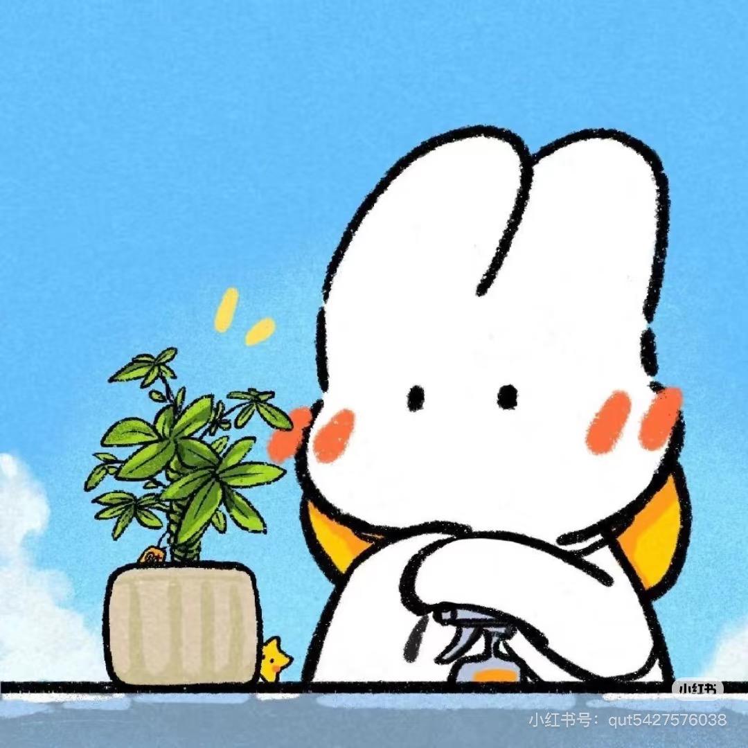 大兔老师讲政治