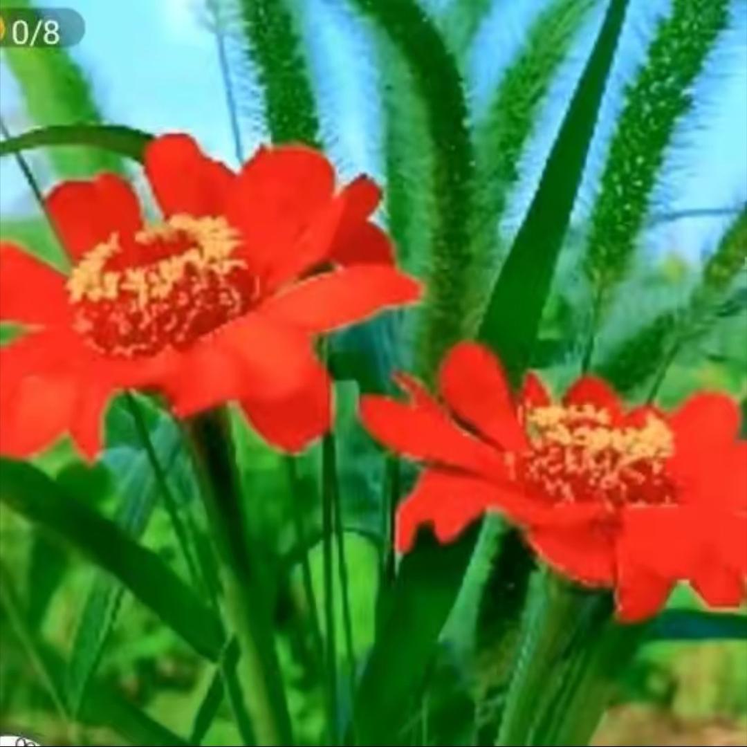 扬帆起航